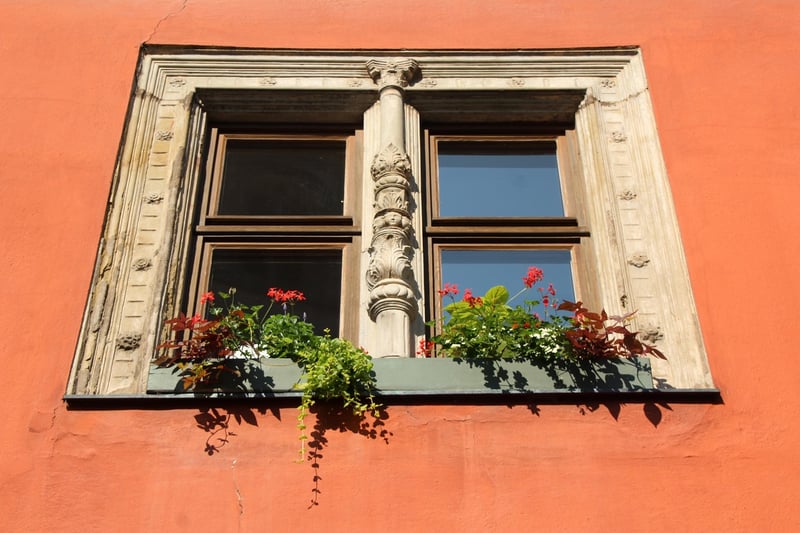 Window boxes